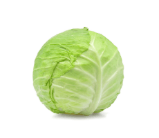 Organic Green Cabbage